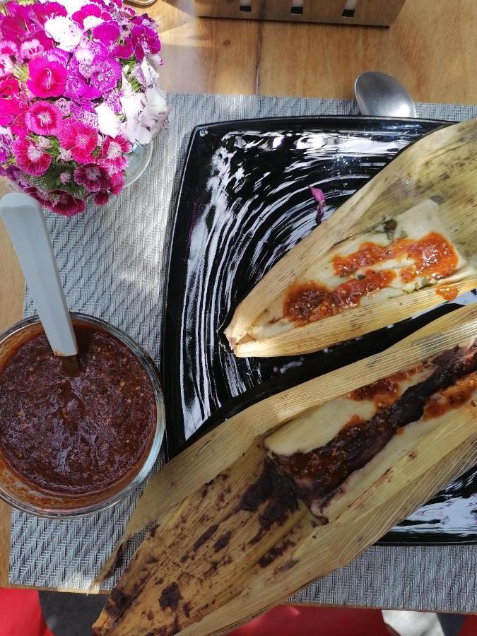 Nardazul "Casa De Suenos" Hotel Oaxaca Екстериор снимка